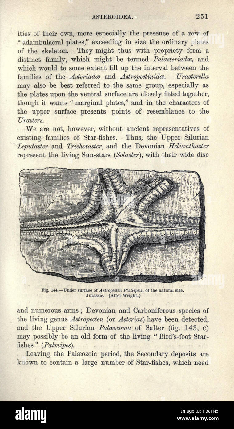 Fossil Depth This manual provides an in-depth guide to the study of fossils ...