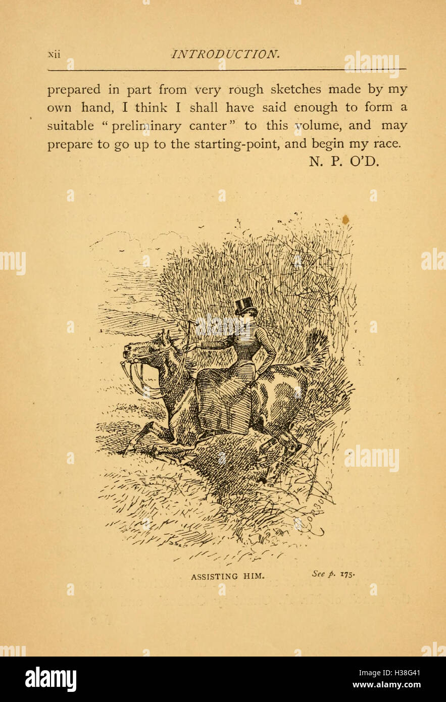 This work focuses on horseback riding techniques and etiquette tailored ...