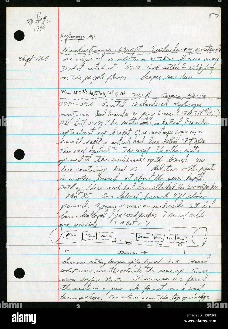 Field Work Notes Field notes by R.D. Sage from his 1965 fieldwork in Costa Rica and ...