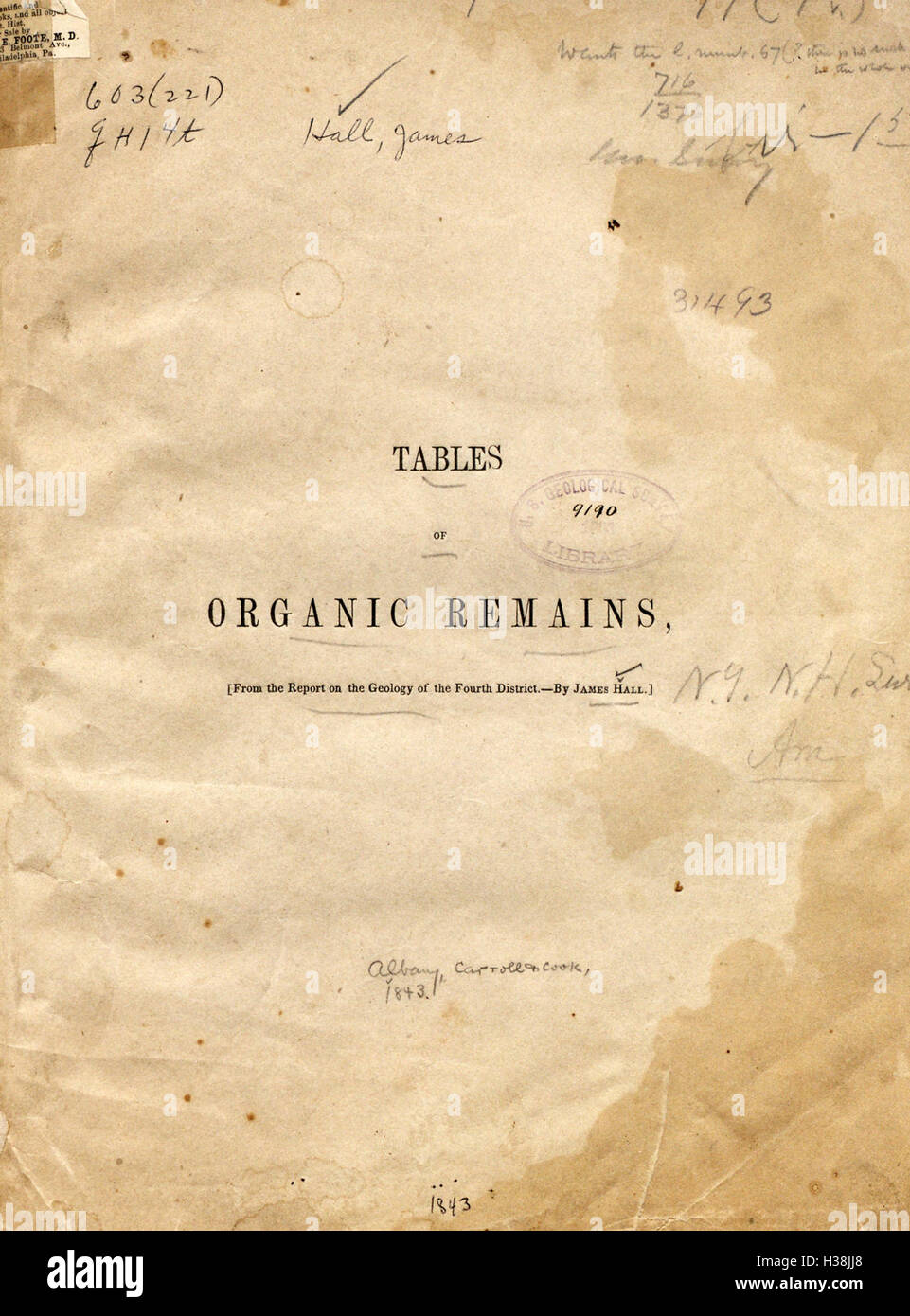 Tables of organic remains BHL410 Stock Photo Alamy