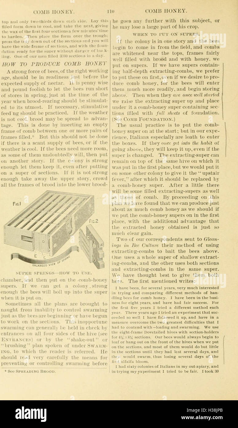 The ABC and XYZ of bee culture (Page 110) BHL94 Stock Photo