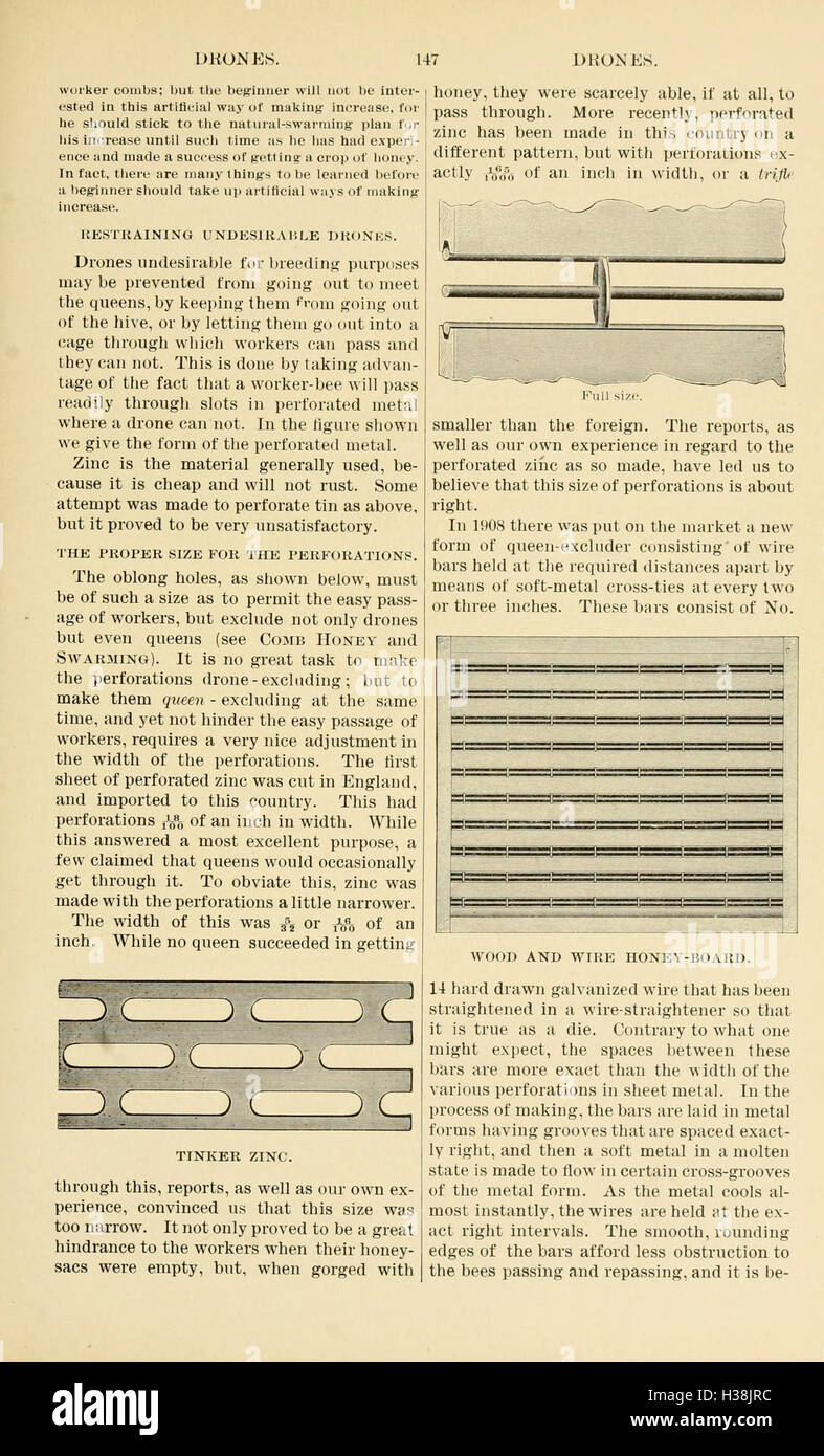 The ABC and XYZ of bee culture (Page 147) BHL94 Stock Photo