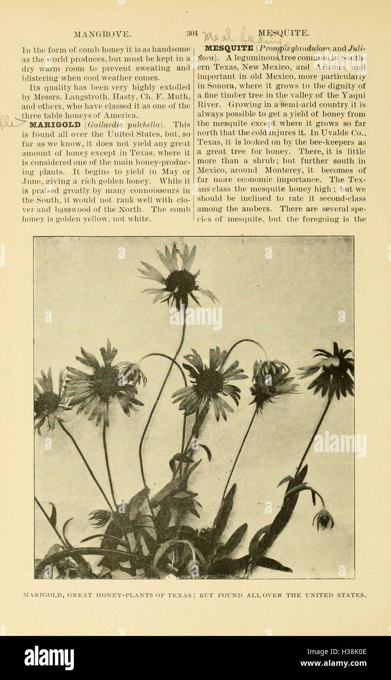 This comprehensive guide to bee culture covers the essential principles ...