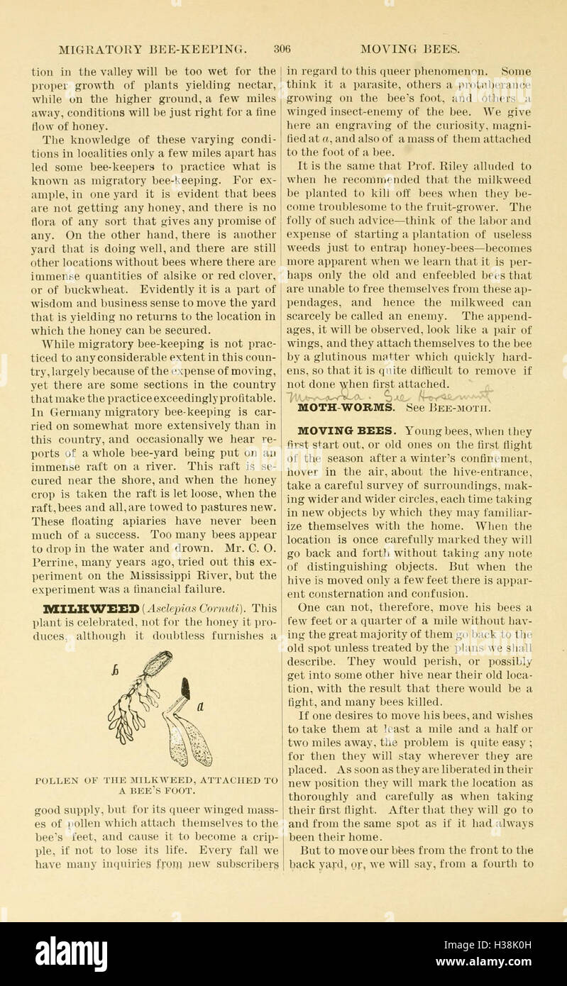 This guide offers a comprehensive introduction to bee culture, covering ...