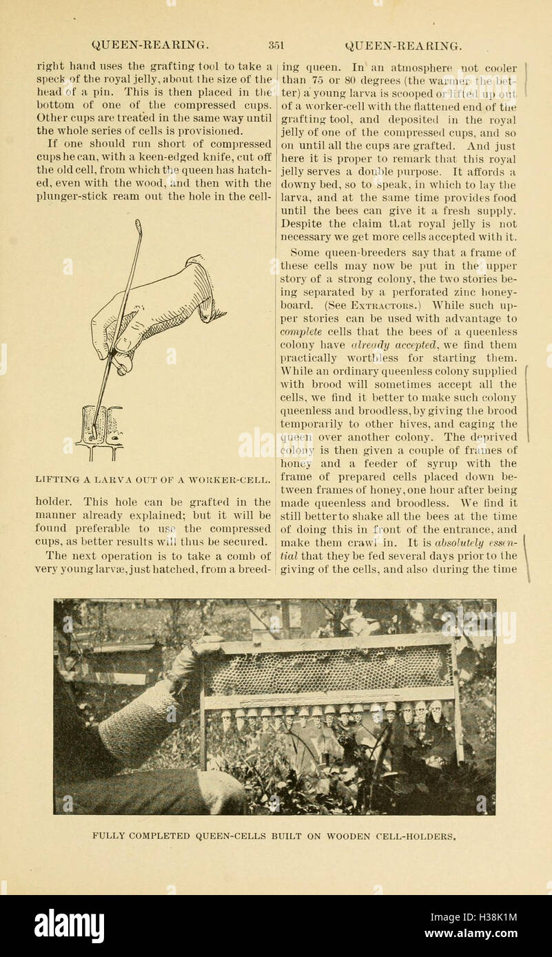 This work provides a comprehensive guide to bee culture, including the ...