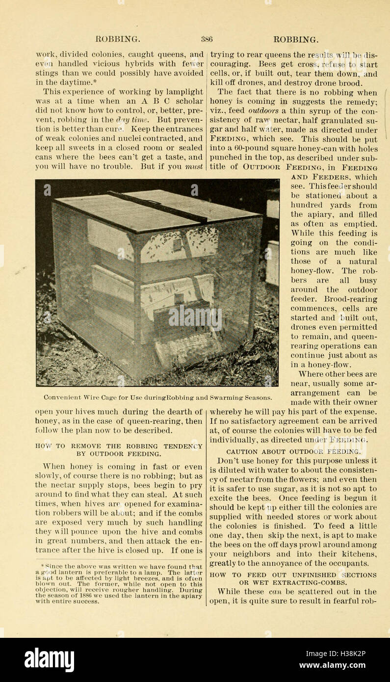 The ABC and XYZ of bee culture (Page 386) BHL94 Stock Photo