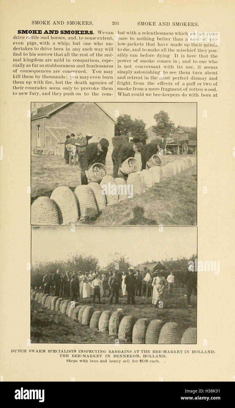 This guide covers the fundamentals of beekeeping, from hive management ...