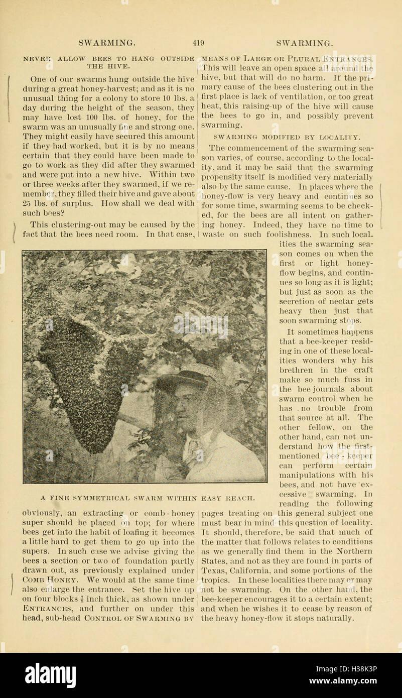 This comprehensive guide provides an overview of bee culture, including techniques for beekeeping, hive management, and honey production, aimed at both beginners and advanced beekeepers. Stock Photo