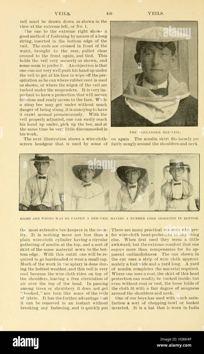 This guide to bee culture provides essential information on beekeeping ...
