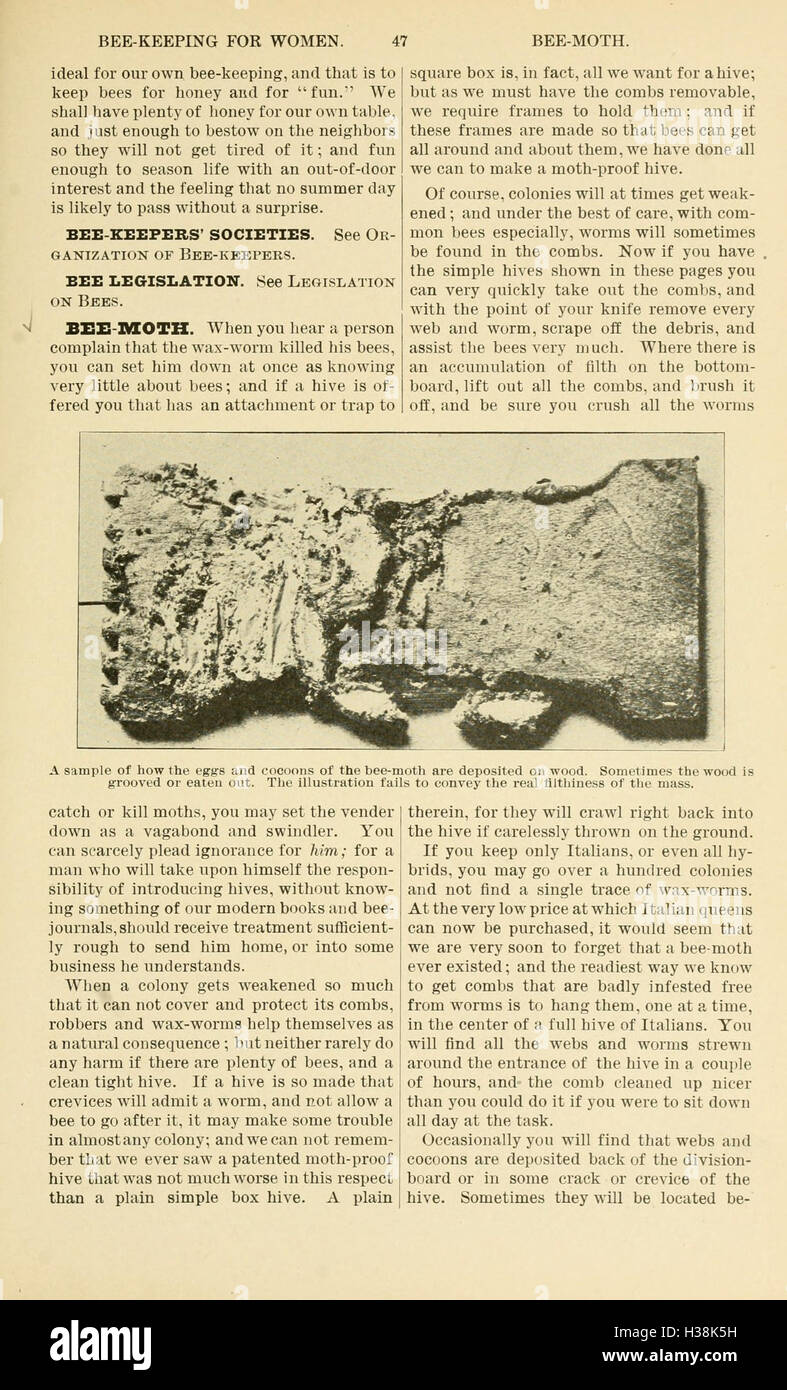This page covers the basics of bee culture, detailing key practices in ...