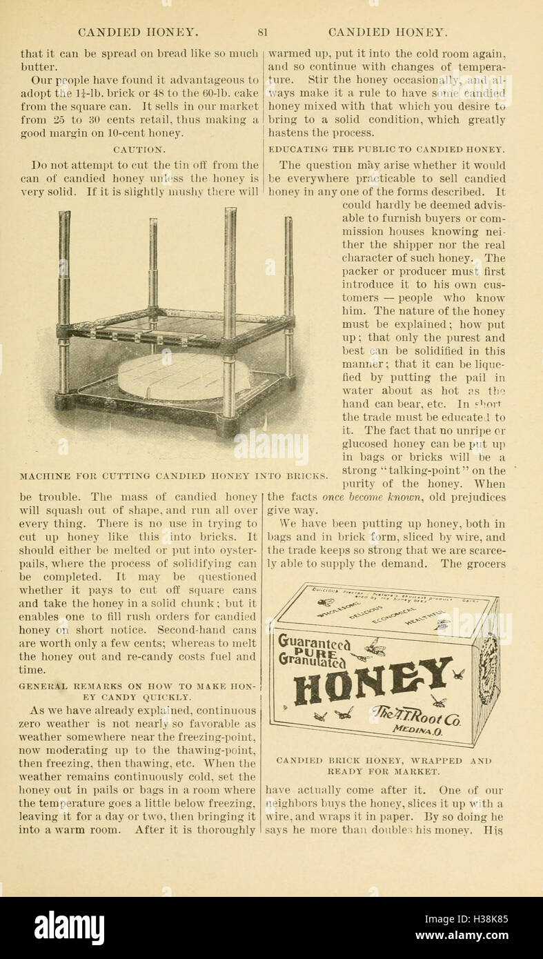 The ABC and XYZ of bee culture (Page 81) BHL94 Stock Photo