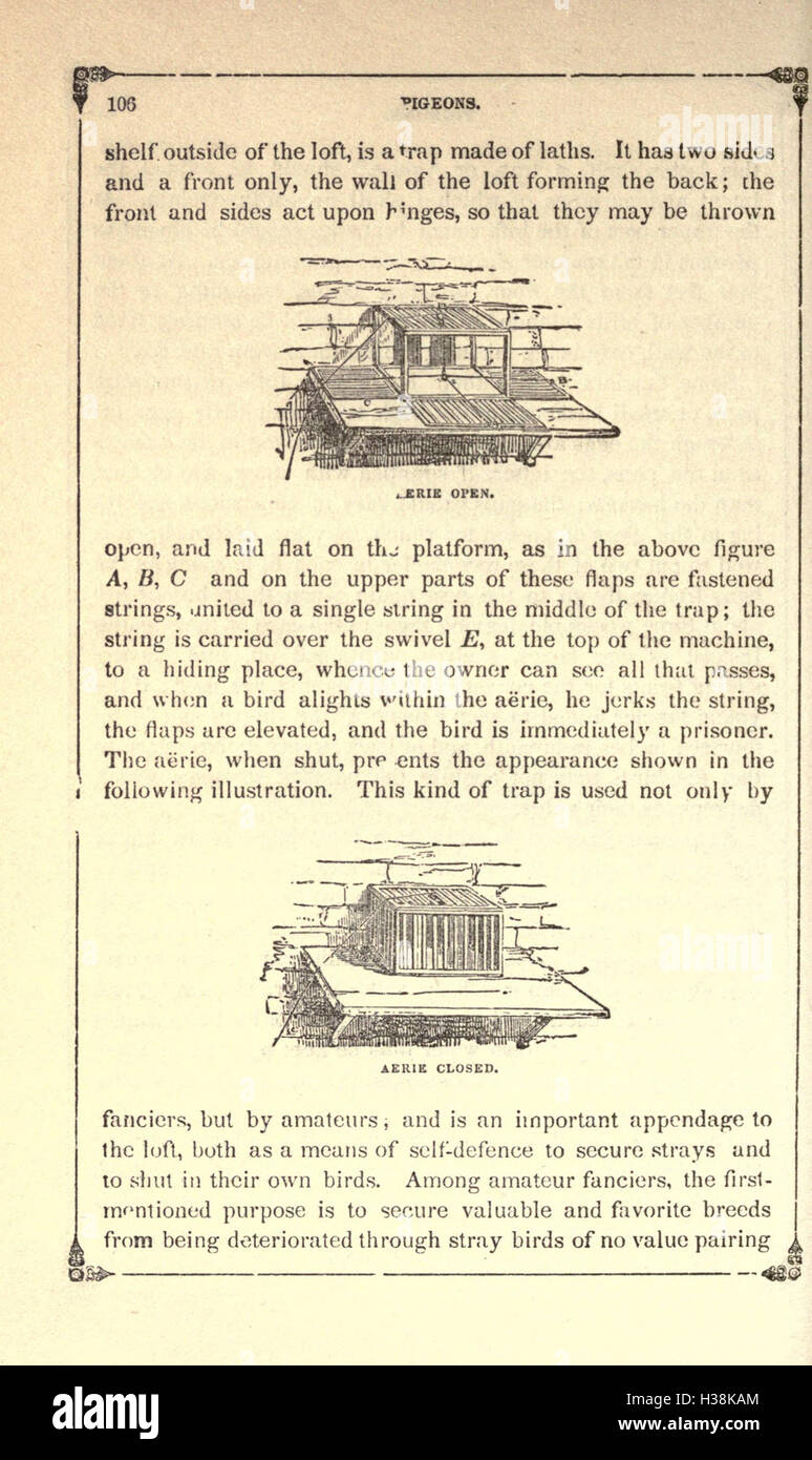 The American bird fancier; or, How to breed, rear, and care for song
