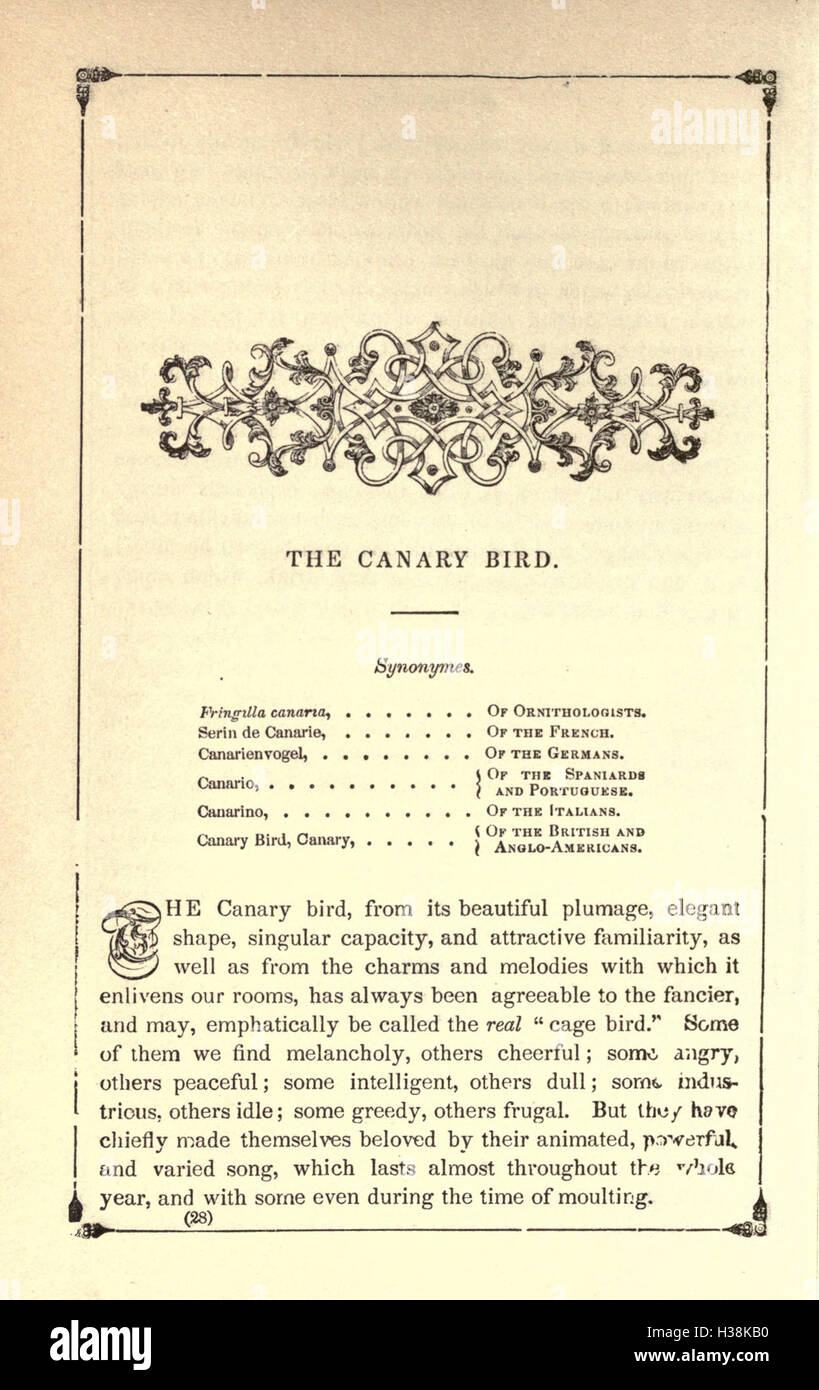 The American bird fancier; or, How to breed, rear, and care for song