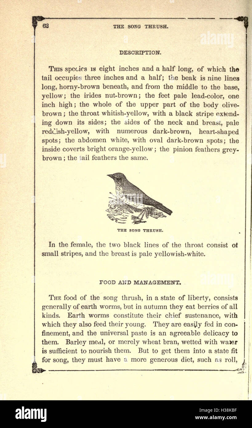 The American bird fancier; or, How to breed, rear, and care for song