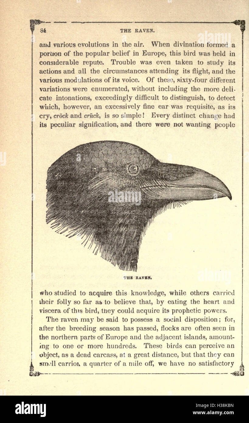 This guide provides practical advice on breeding, rearing, and caring ...