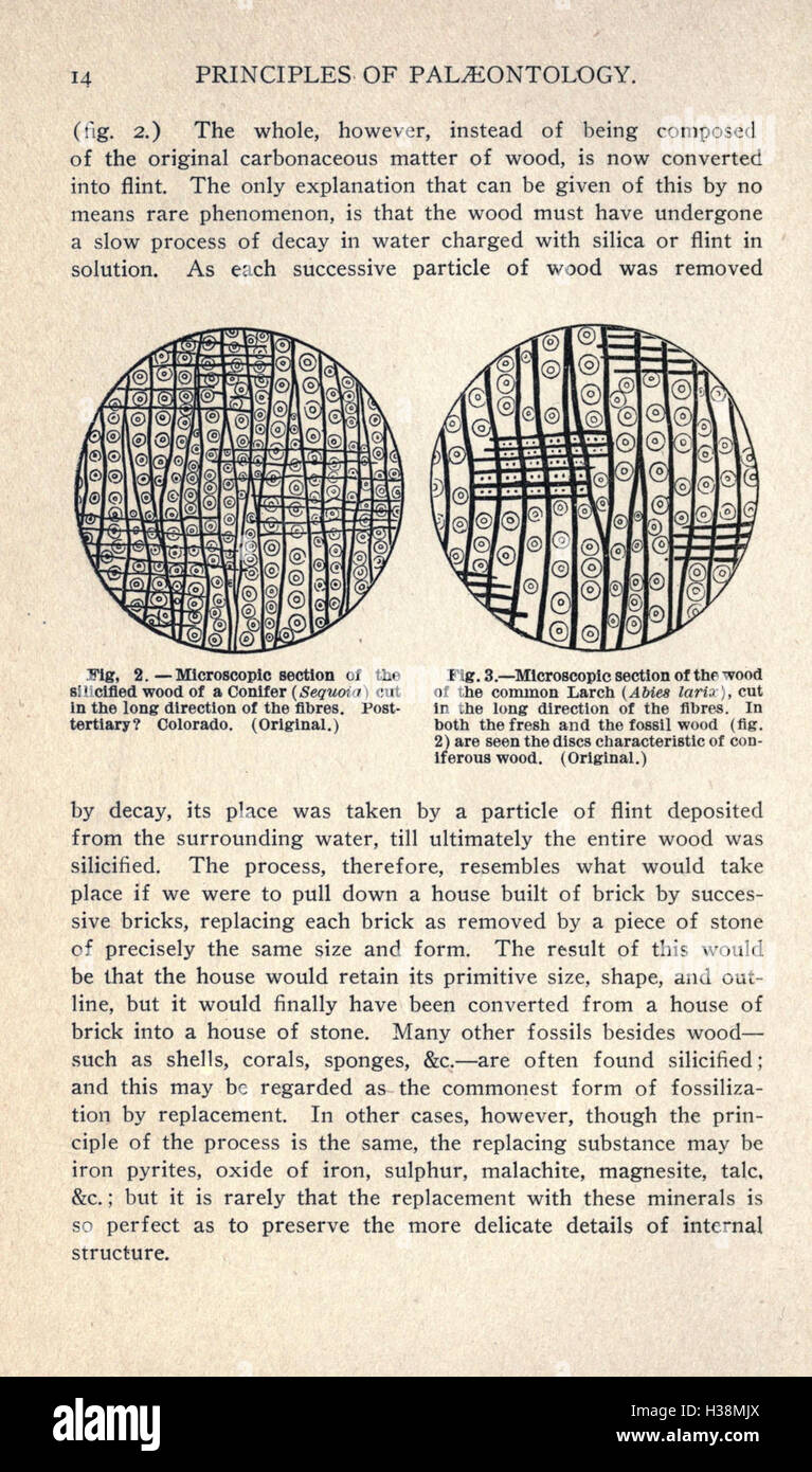 First Recorded Complex Life Form This page explores the history of life on Earth, from the earliest ...