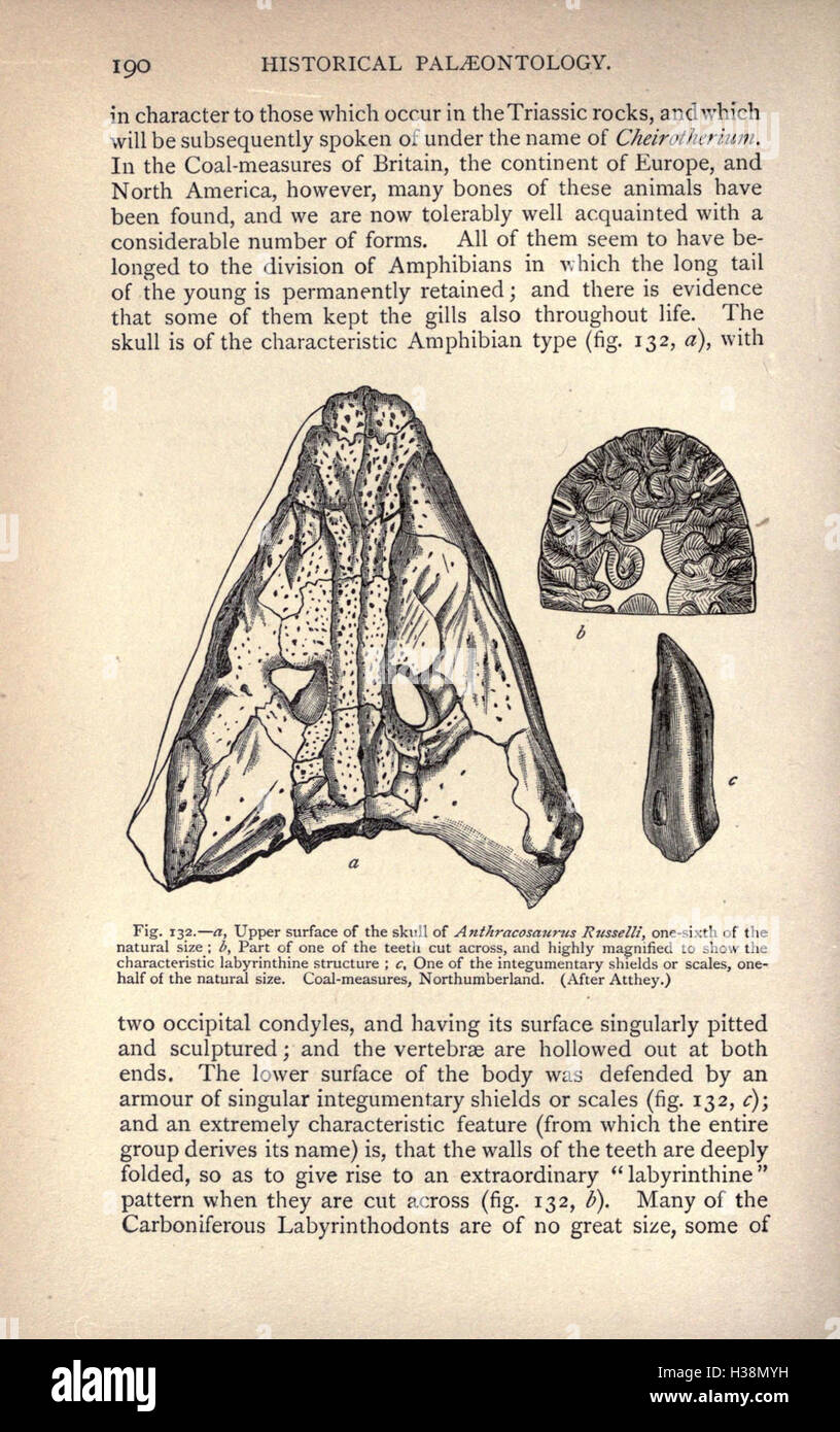 This work outlines the history of life on Earth from its origins to ...