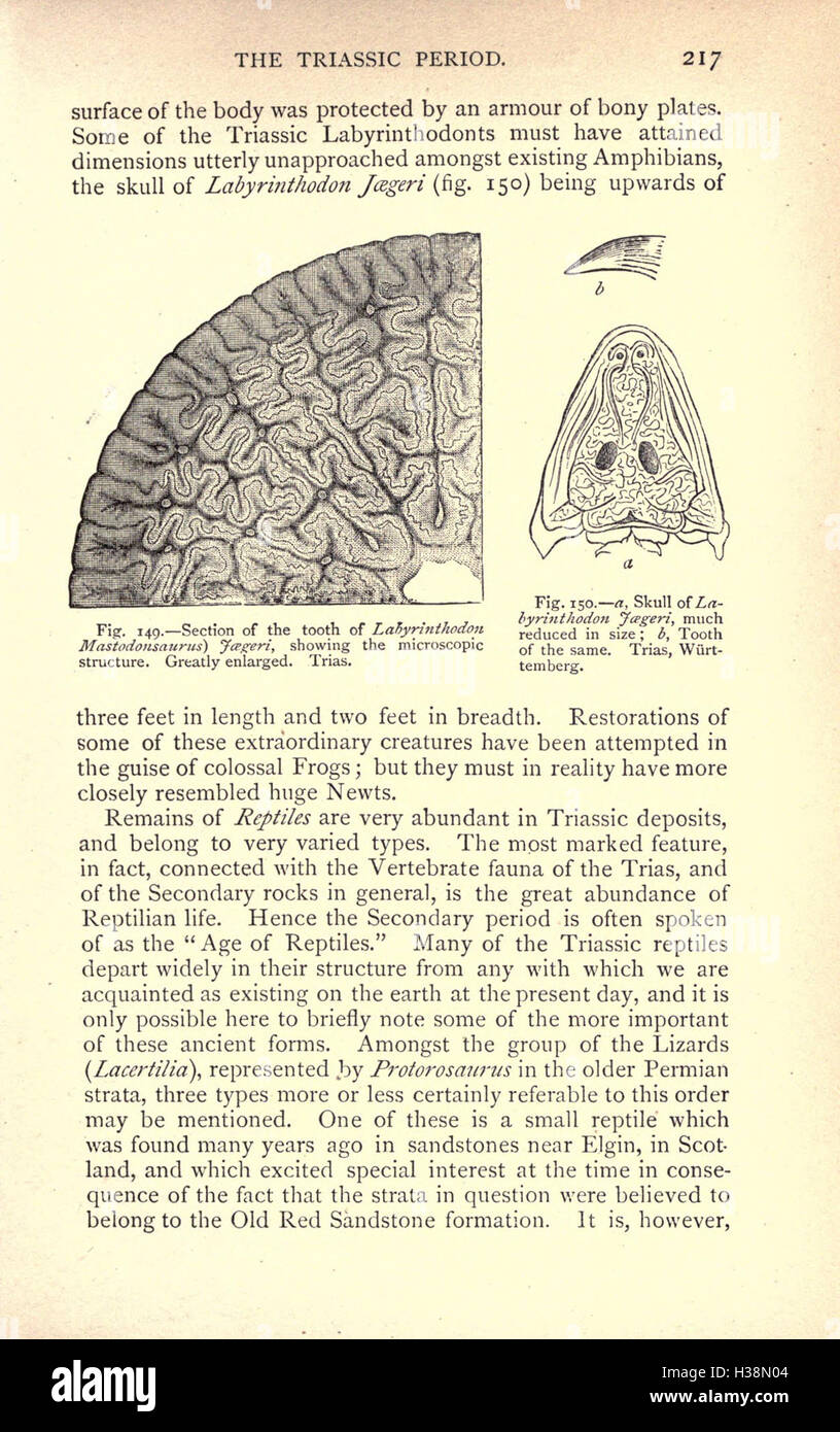 This section explores the Earth's life history, focusing on major ...
