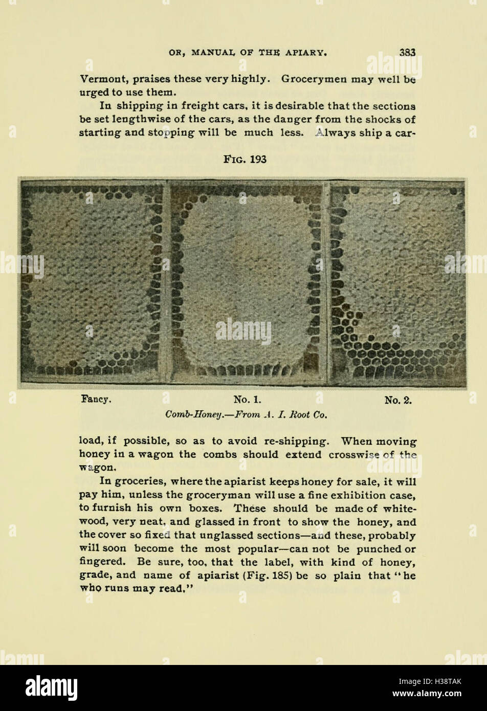This page offers practical advice for beekeepers, including tips on hive management, bee care, and honey production. It focuses on essential techniques for successful beekeeping and provides insights for both beginners and experts. Stock Photo