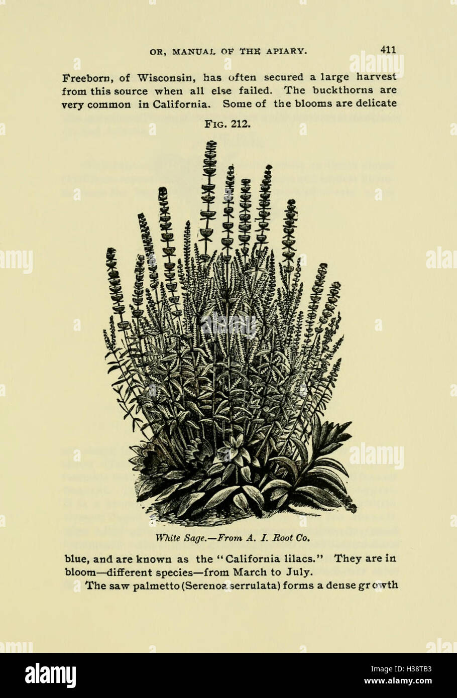 This guide offers practical advice for beekeepers, covering hive ...