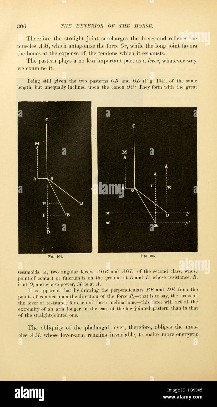 This text focuses on the physical features and external anatomy of the ...