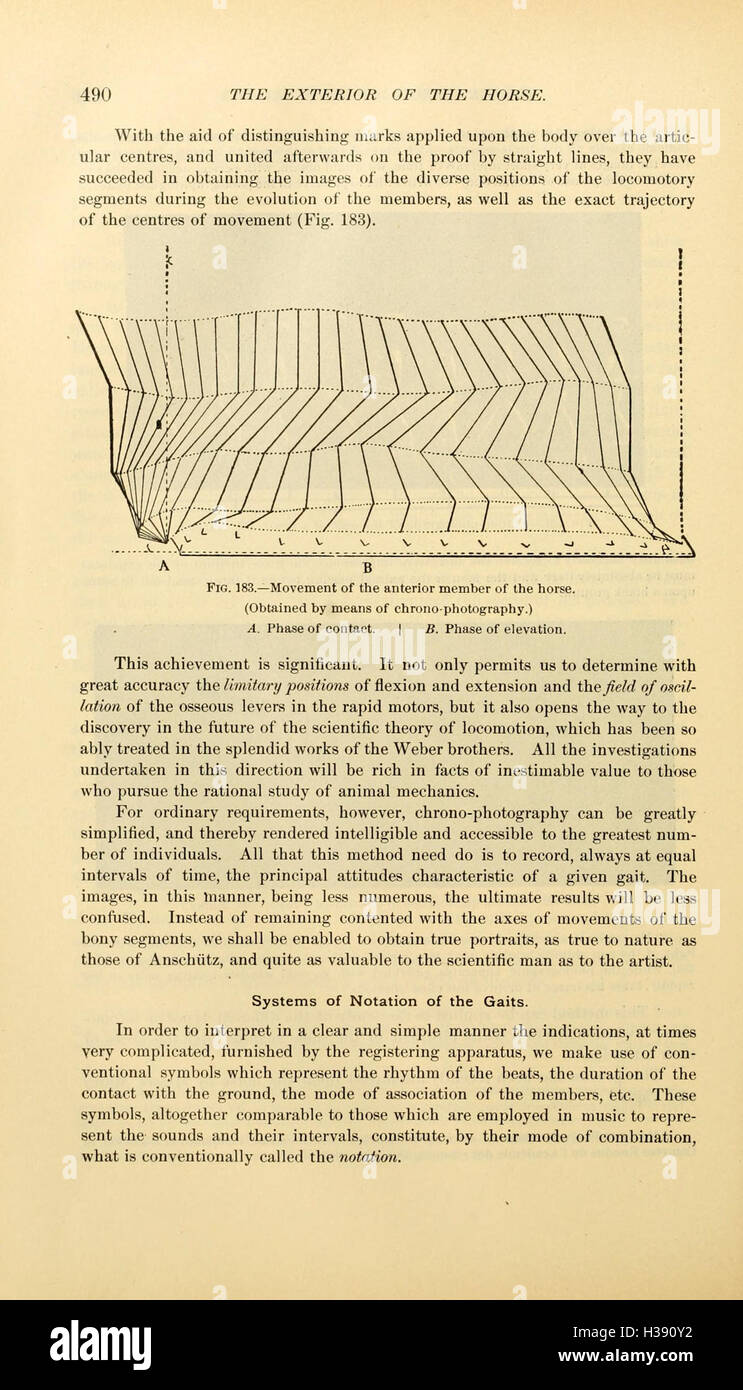 This text covers the external anatomy of the horse, including the ...