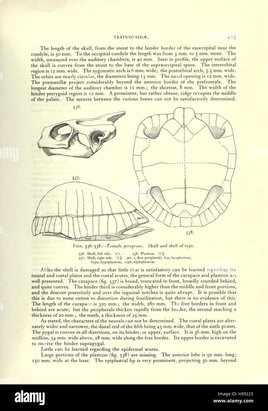 This book covers the fossil records of turtles in North America ...