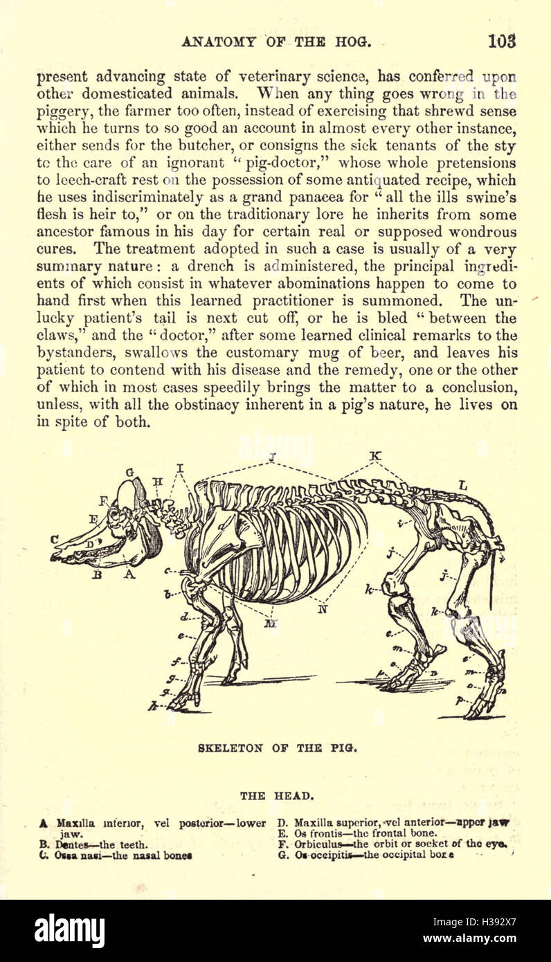 AUGUST 22 1874.1 Agricultural Life in Missouri. New French River Steamboat.  a American Telegraphy. Spiritual Phenomena. An Interesting Discovery. HOW  SHALL I INTRODUCE MY INVENTION1 MUNN & CO. 37 Park Row N. Y.