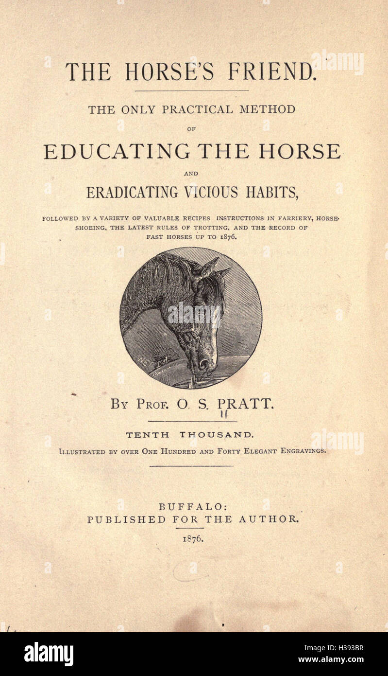 This work provides an overview of the bond between humans and horses ...