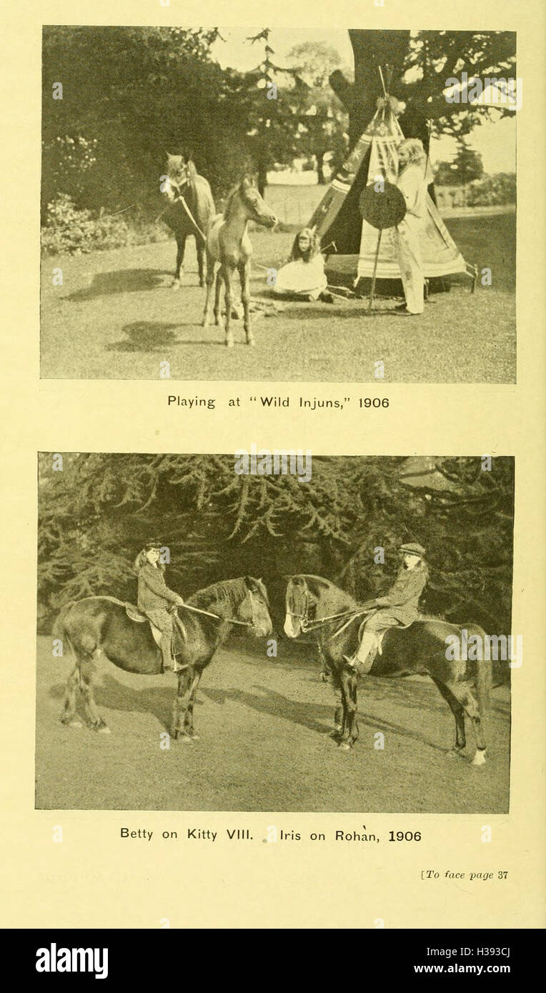 This volume explores the unique relationship between horses and humans ...