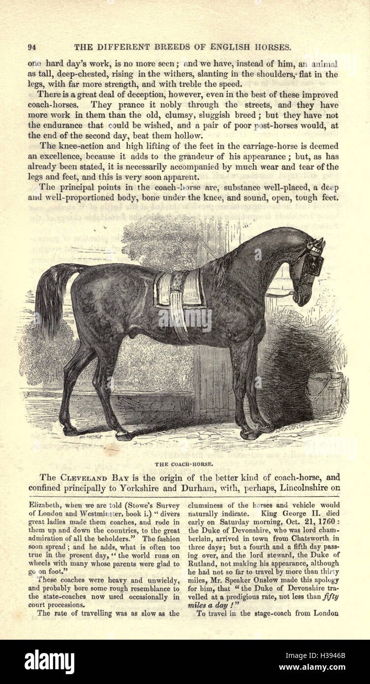 Pages 94 hi-res stock photography and images - Alamy