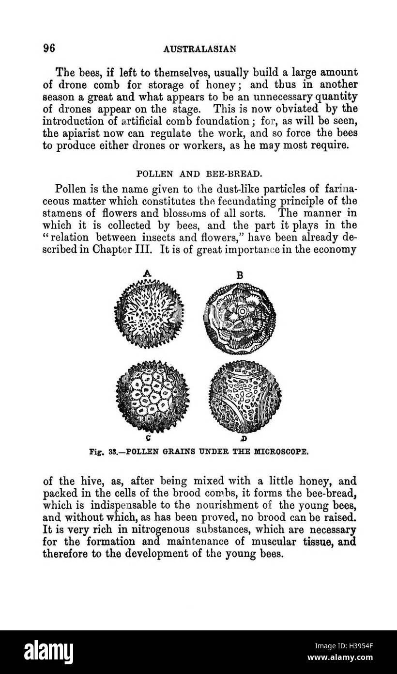 This page provides a detailed guide to bee culture in the southern ...