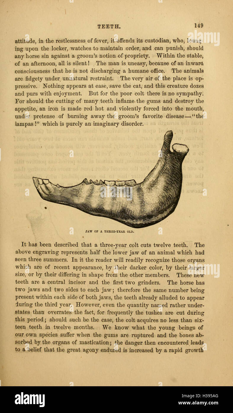 This book offers a visual guide to horse management, including care ...
