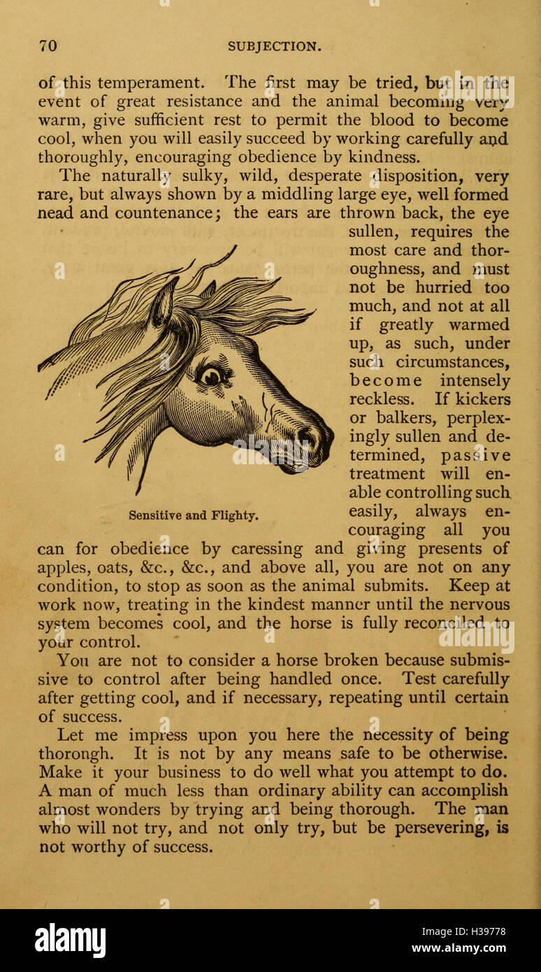 Picture of This system offers comprehensive guidance on educating horses ...