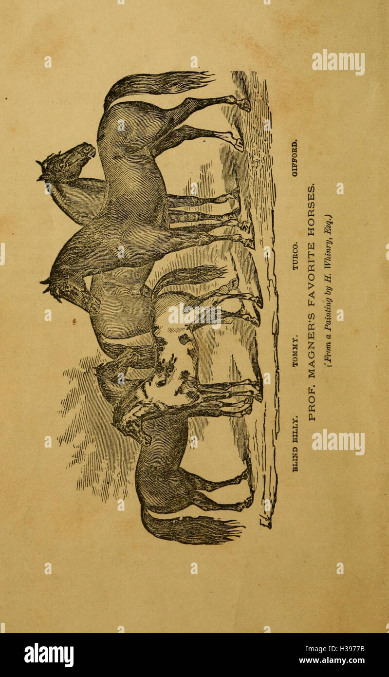 The new system of educating horses, including instructions on feeding ...