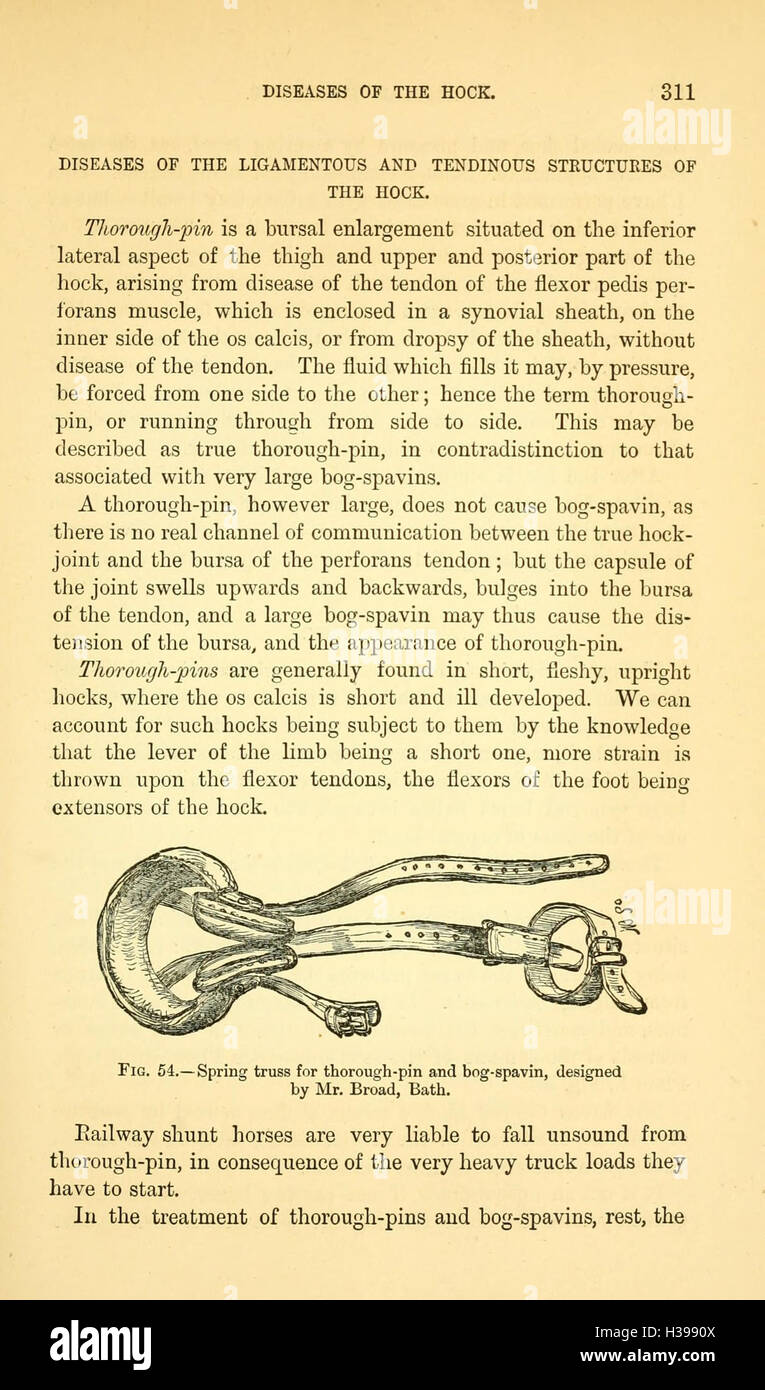 A comprehensive guide to veterinary surgery, covering surgical ...