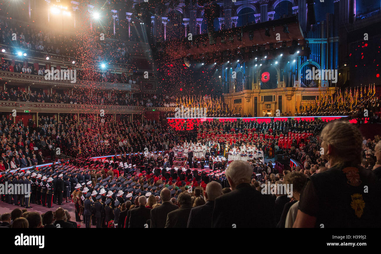 Albert Hall Remembrance 2024 Calendar Elise Helenka