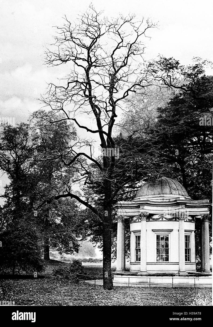 Ash trees britain Black and White Stock Photos & Images - Alamy