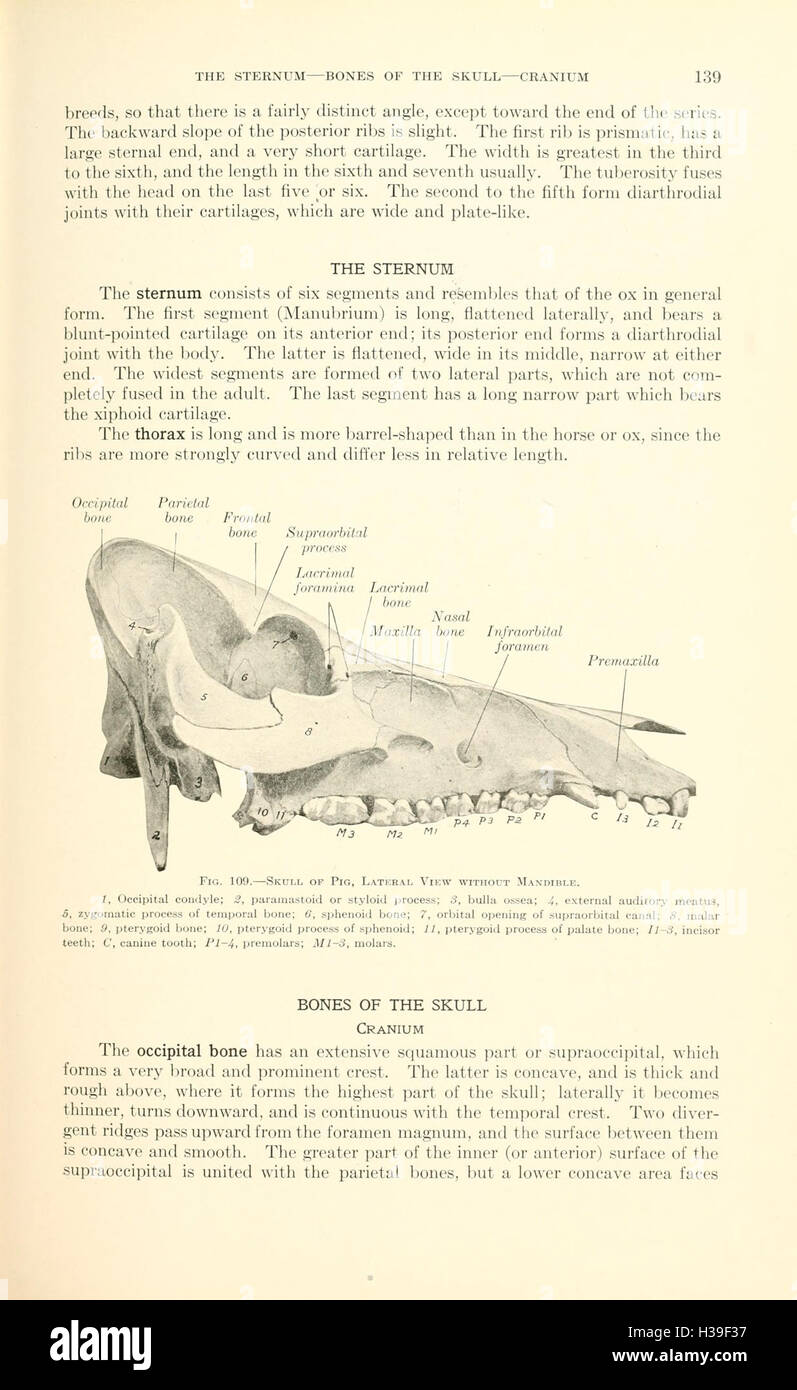 This textbook covers the anatomy of various animals, focusing on their ...