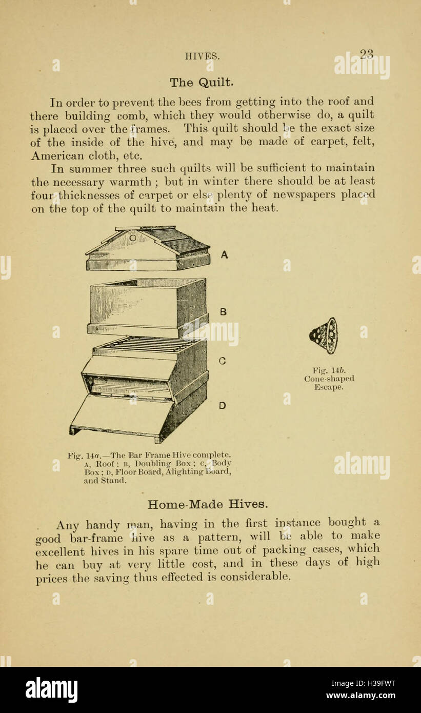 This guide provides practical advice on beekeeping for both enjoyment ...