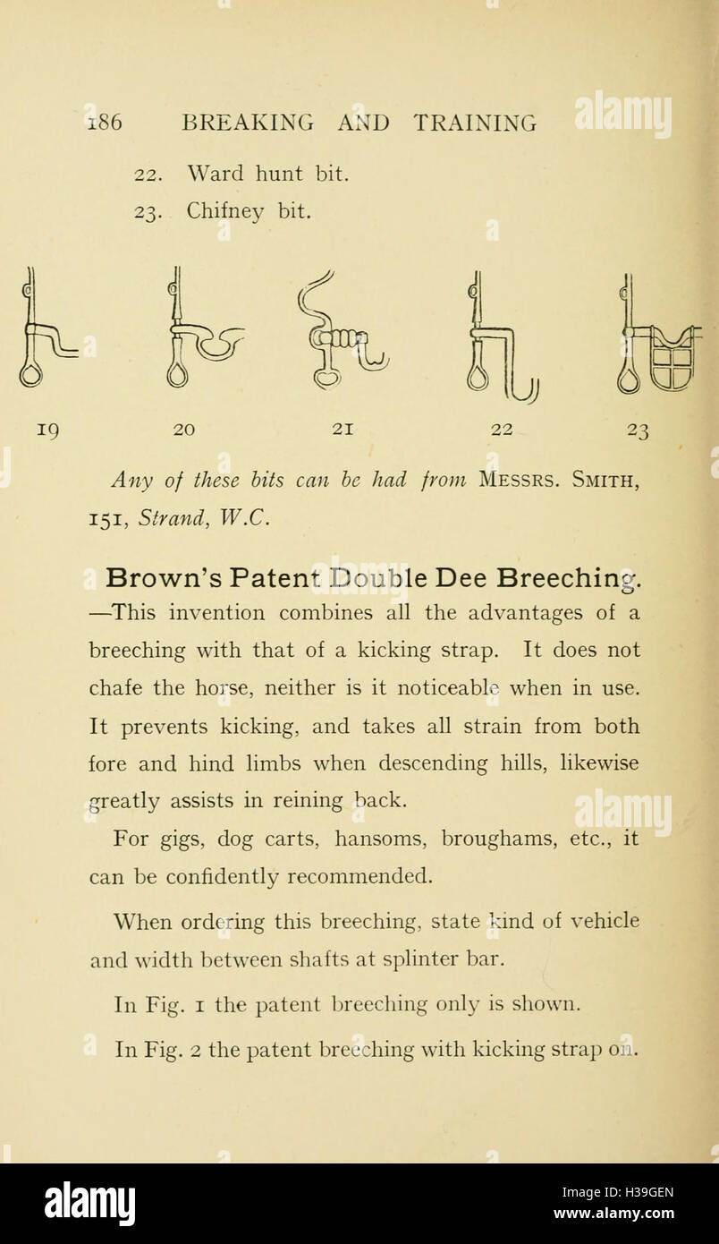 Breaking and training horses (Page 186) BHL214 Stock Photo - Alamy