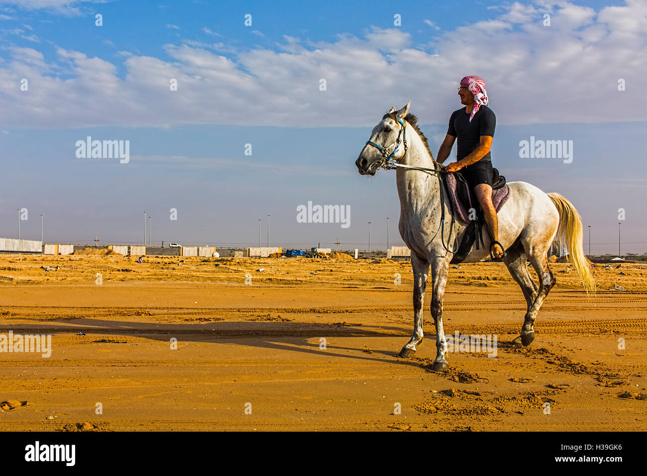 Arab man riding an Arabian Stallion on the Beach in Dubai Stock Photo