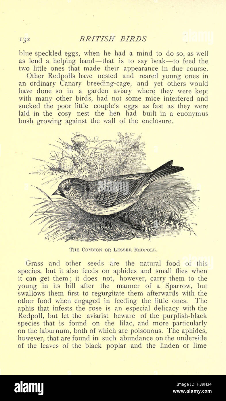 Picture of This guide provides information on various species of British birds ...