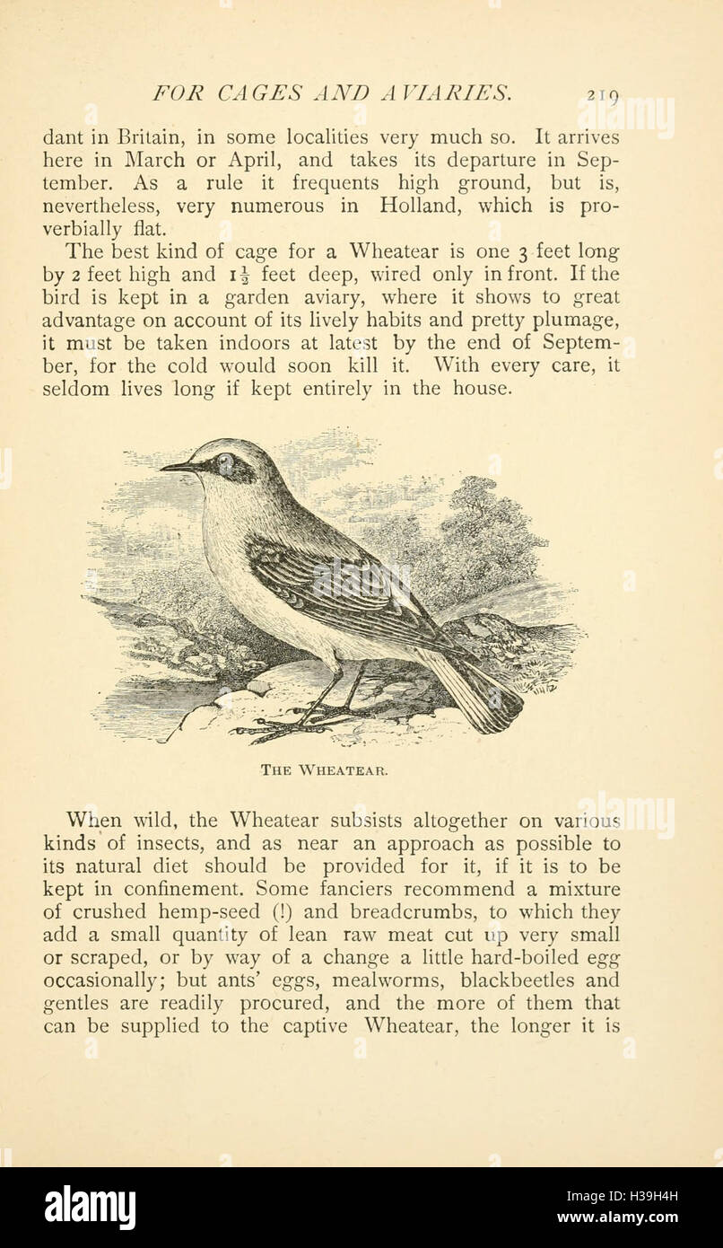 Picture of This work discusses the types of British birds suited for life in cages ...