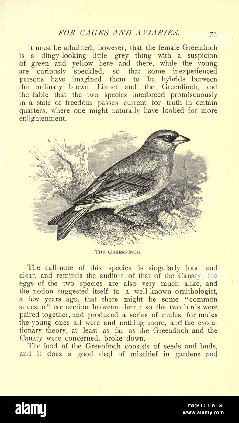 Image showcasing This work provides information on various British bird species suitable ...