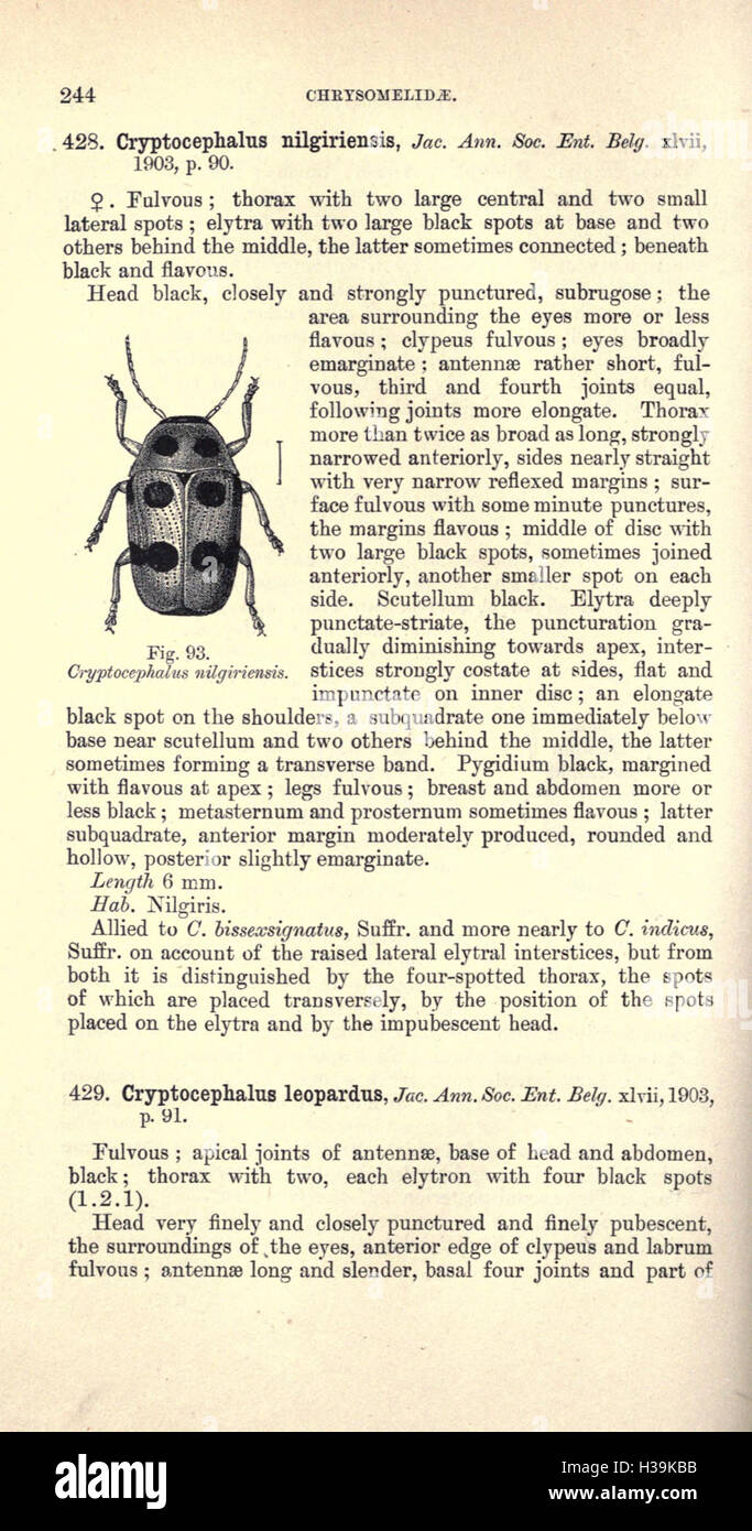 This work focuses on the Coleoptera order, providing detailed ...