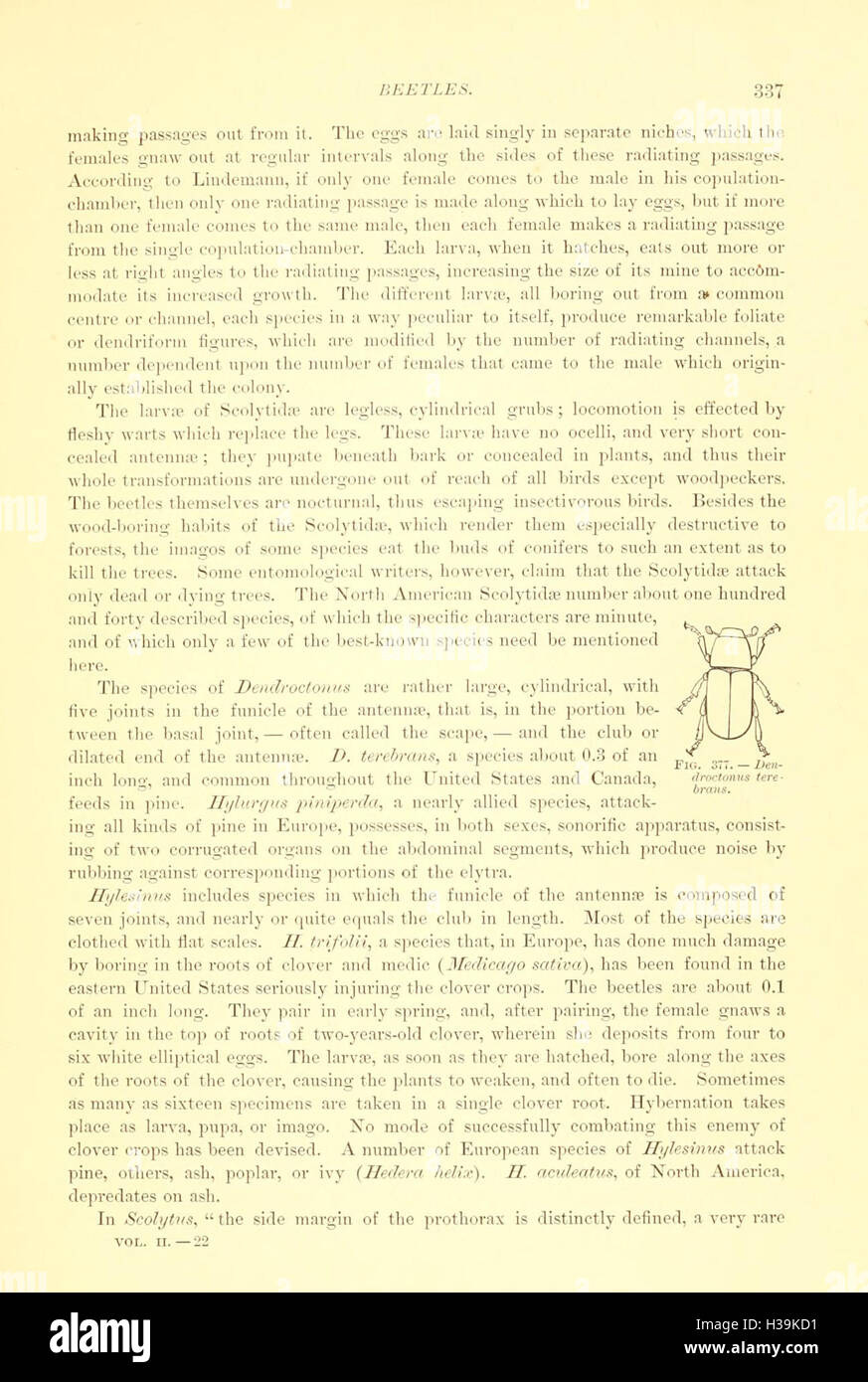 This work focuses on the Coleoptera order, detailing various species of ...