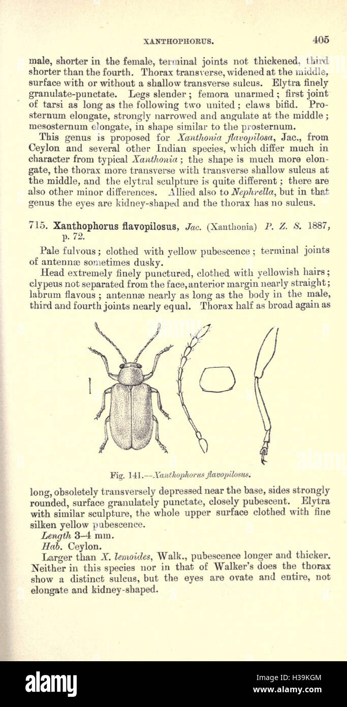 Coleoptera Order Insects This section focuses on Coleoptera, the largest order of insects ...