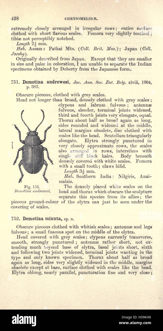 Coleoptera Order Insects Coleoptera refers to the diverse order of beetles, the largest group of ...