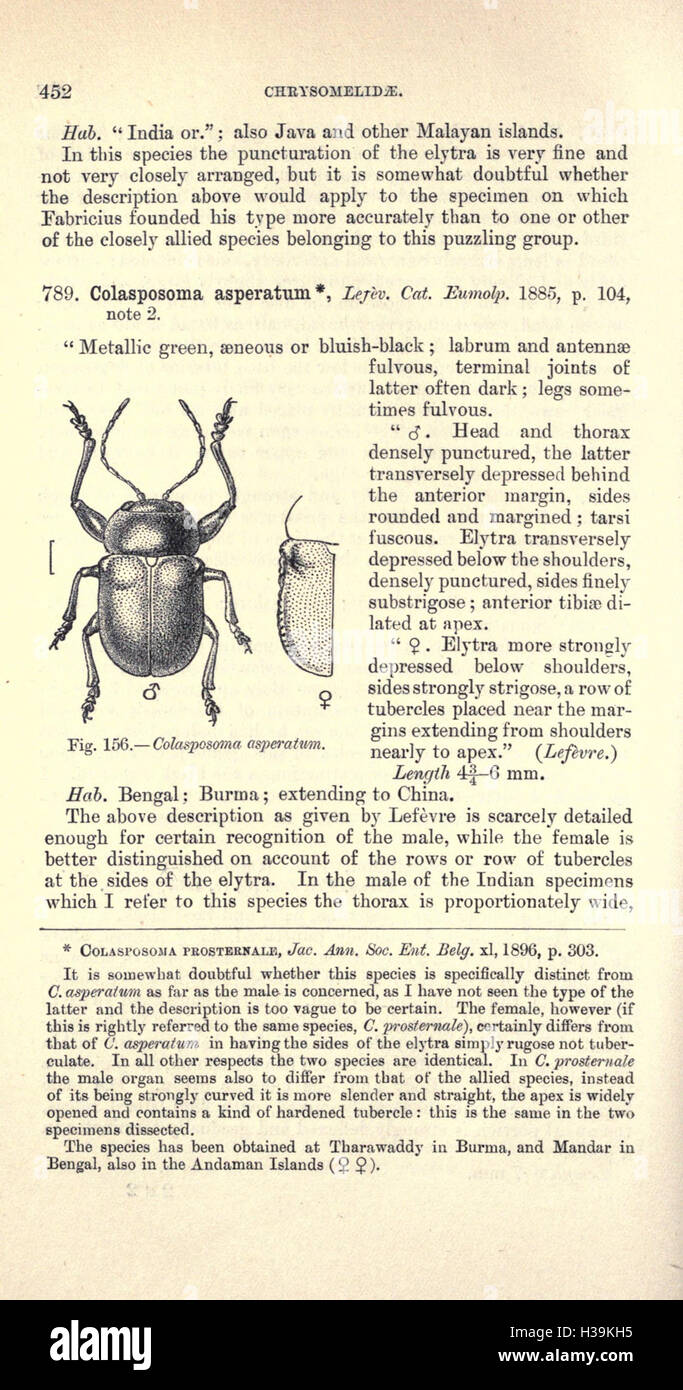 This section provides a detailed examination of the Coleoptera, or ...